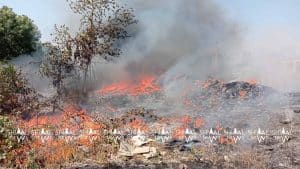 Photo Shimal.News
