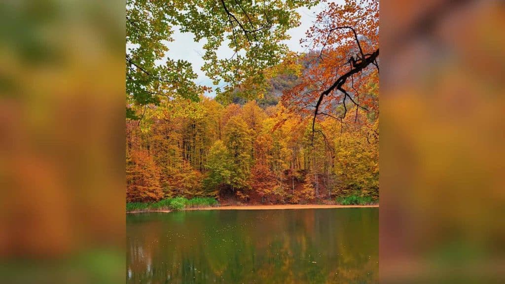 Şahdağ Milli Parkının sakinləri və təbiəti lentə alınıb