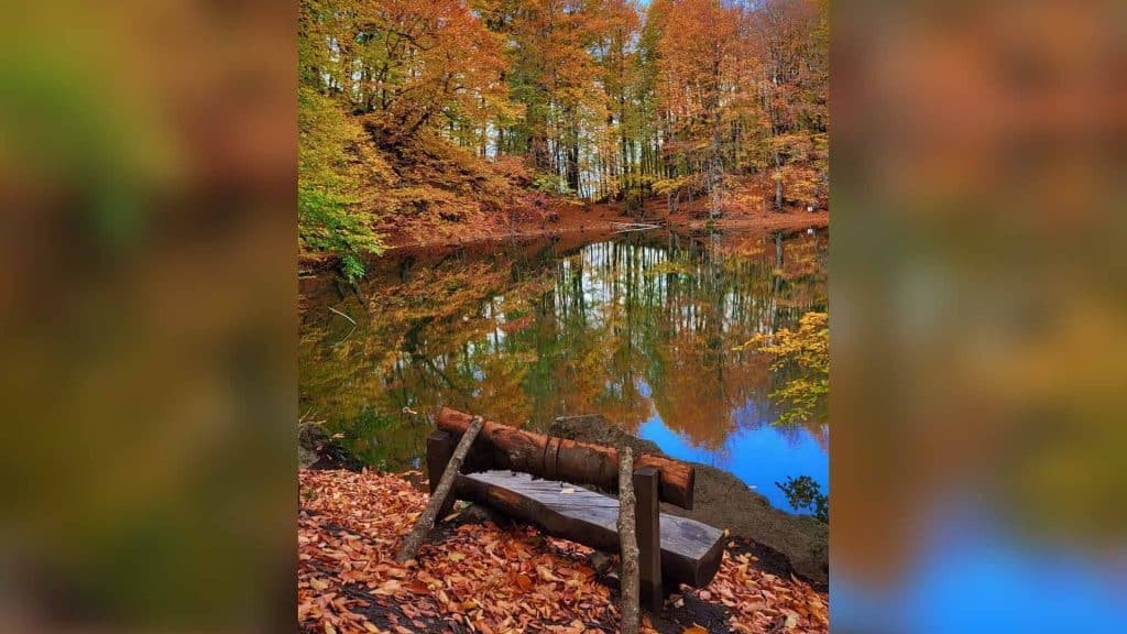 Şahdağ Milli Parkının sakinləri və təbiəti lentə alınıb