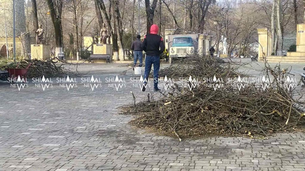 Qubanın mərkəzində aqrotexniki işlər aparılır