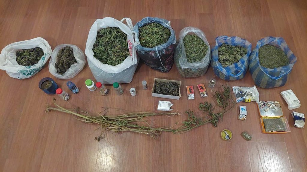 İsmayıllı: külli miqdarda marixuana becərən şəxs saxlanılıb