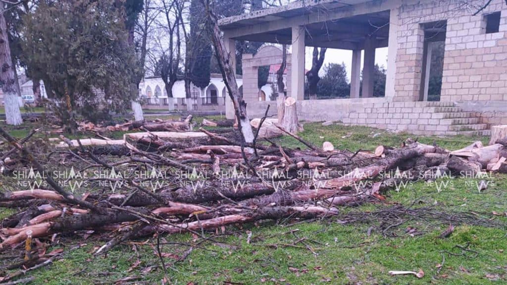 Quba: Zərdabidə quru ağaclar kəsilib