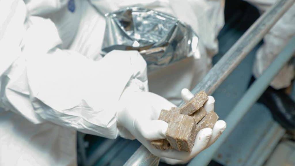 İsmayıllıda vəhşi heyvanlar arasında quduzluq xəstəliyinə qarşı peyvəndləmə aparılıb