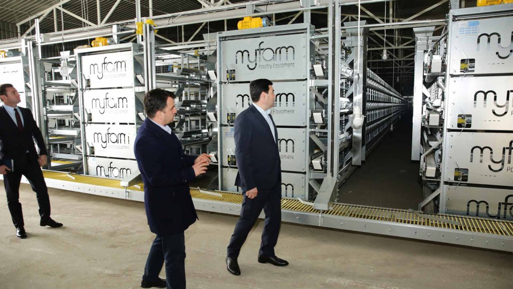 Xaçmaz: gündə 100 min yumurta istehsal edəcək fabrik tikilir