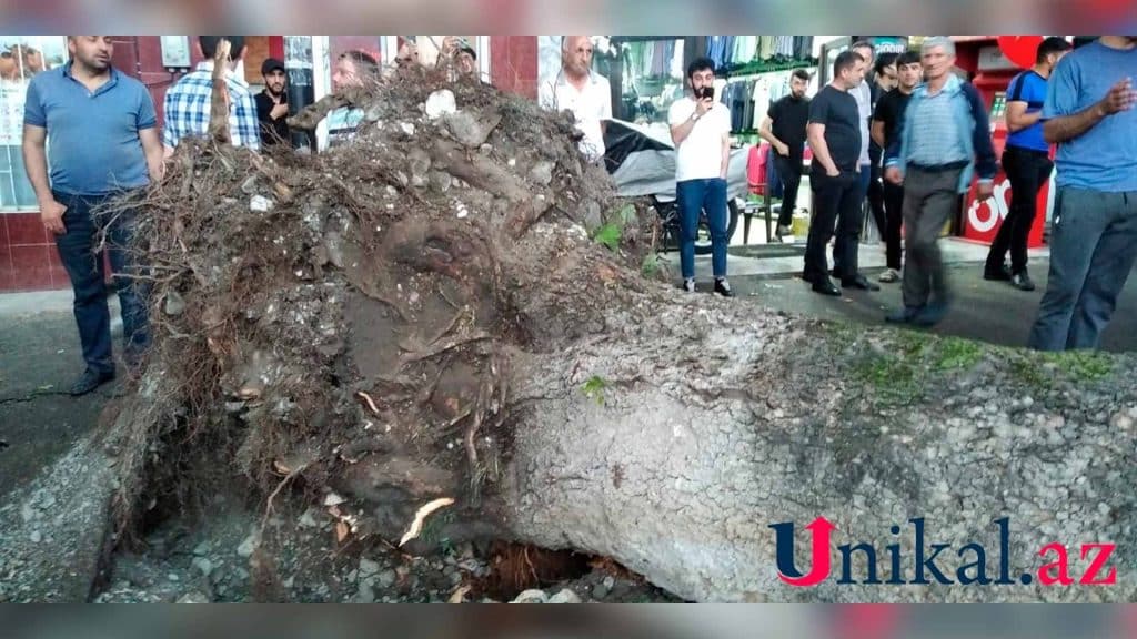 Ağac İsmayıllıda 3 avtomobili əzib