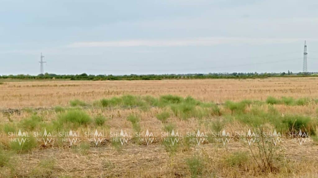 “Gülüstani-İrəm” əsərində qeyd olunan Xaçmazın qədim Çarxı kəndi