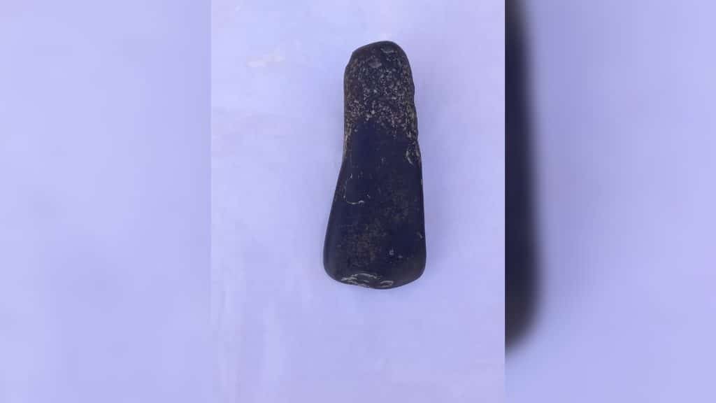 Şimal zonasında erkən tunc dövrünə aid ilk insan qalıqları tapılıb