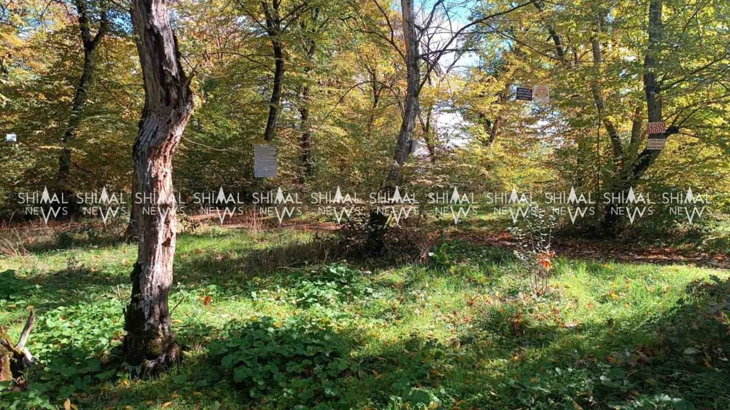 Terrenkur – Qusarda mütləq ziyarət olunmalı yer