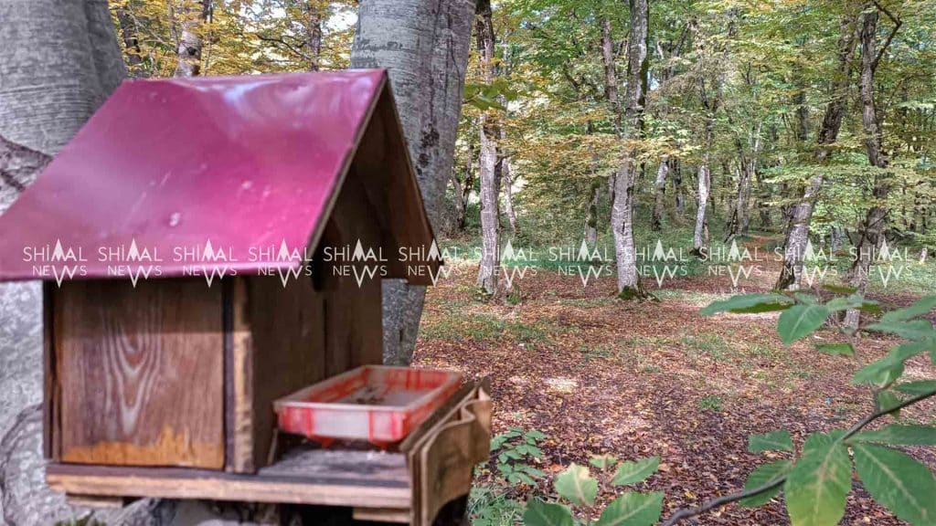 Terrenkur – Qusarda mütləq ziyarət olunmalı yer