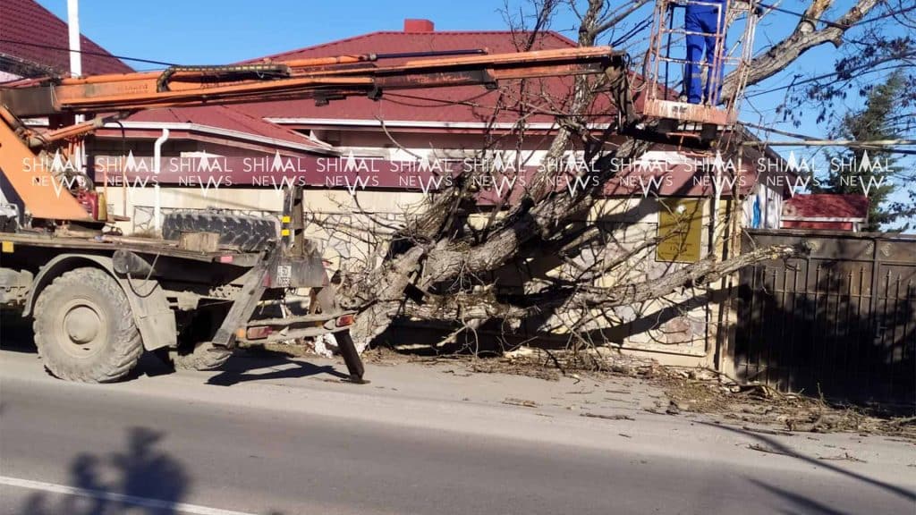 Külək Qubada “iş açıb”