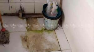 Quba xəstəxanası acınacaqlı vəziyyətdə-FOTOLAR