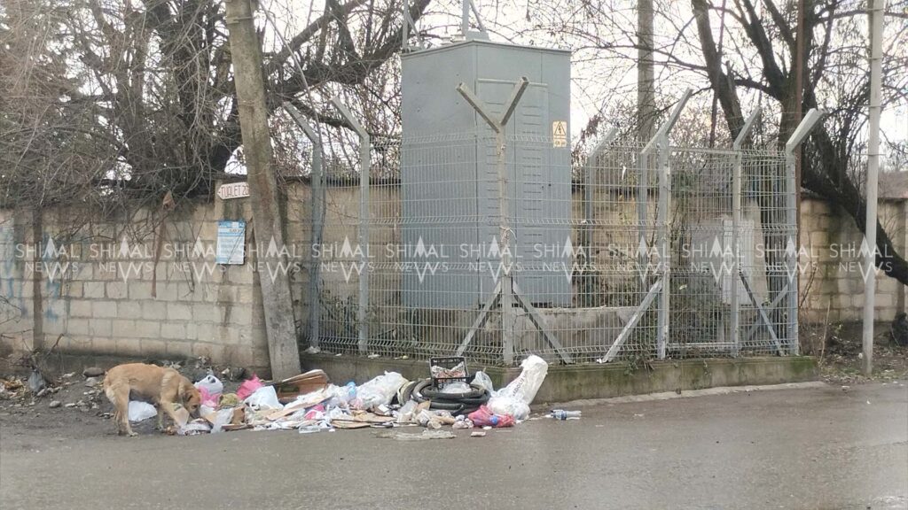 Qubanın “Bazar küçəsi”ndə natəmizlik