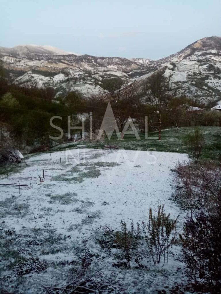 Qubaya qar yağıb