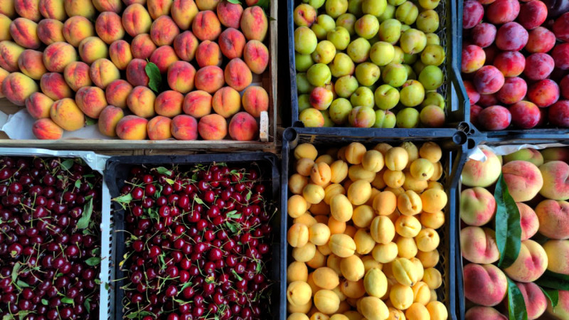 Şimal rayonları və Bakı üçün meyvə-tərəvəzin qiymət müqayisəsi