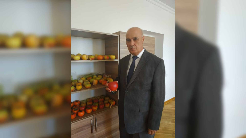 Qubada elm xadiminin 65 illik yubileyi qeyd olunub