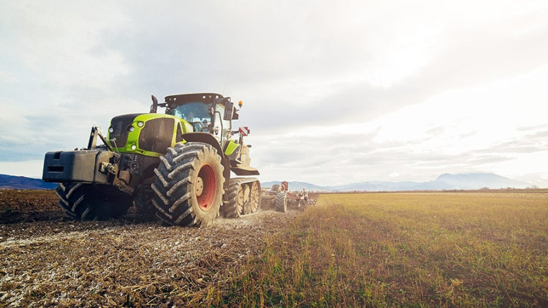 Qubada taxılın payız səpini mövsümü başlanılıb