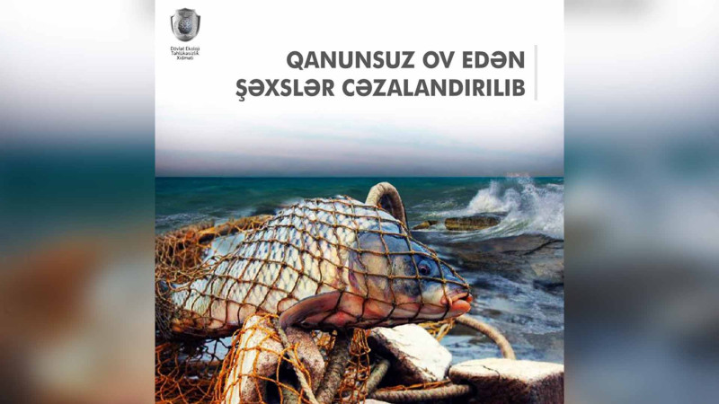 Xaçmaz sakini brakonyerlik edib