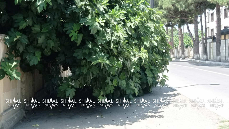 Xaçmaz: köhnə polis şöbəsinin yanında piyada səkisi “zəbt edilib”