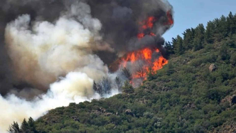 Qubada yanğına qarşı qabaqlayıcı tədbirlər görülür