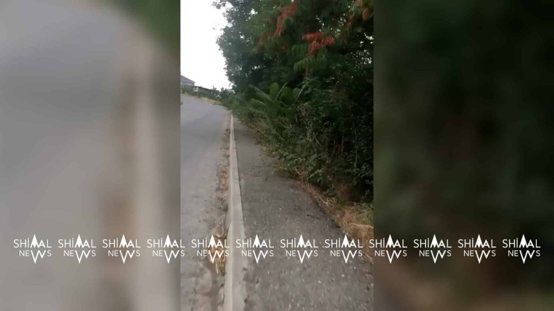 Qusarda piyadalar məcbur olub avtomobil yolu ilə hərəkət edirlər