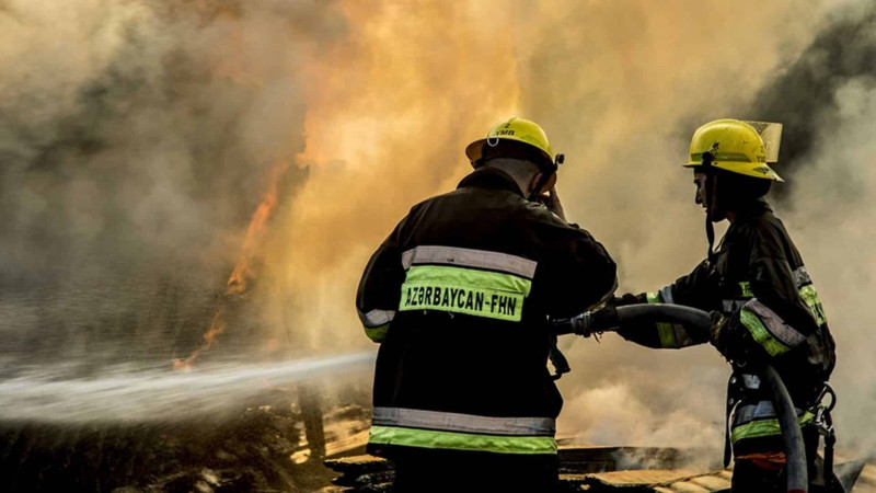 Şimal: Ekologiya və Təbii Sərvətlər Nazirliyi əhaliyə müraciət edib