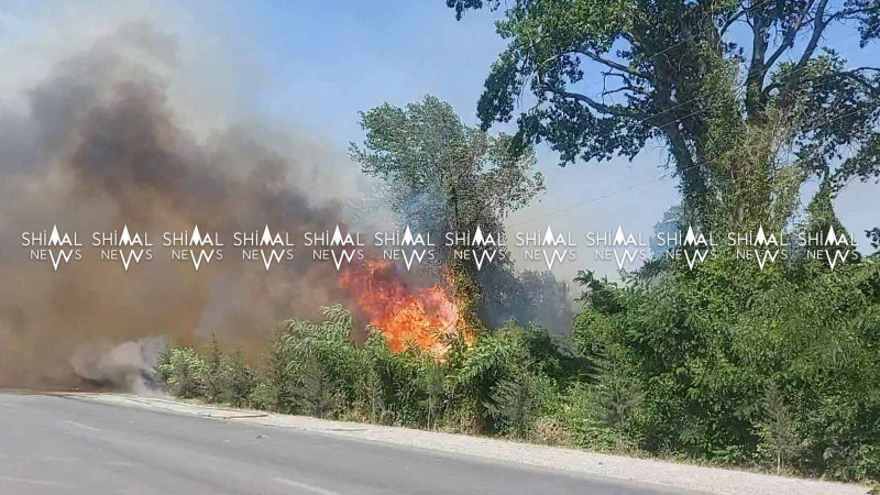 Xaçmaz-Xudat yolu: Qımılqışlaq ərazisində yanğın başlayıb