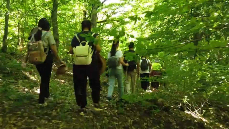 Qubanın Susay meşəsinə çölçülərin axını olub