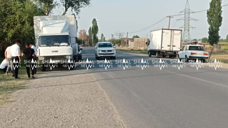 Yolu keçən pişik Xaçmaz-Quba yolunda qəzaya səbəb olub