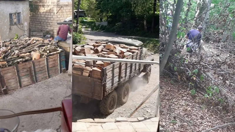 Quba: Şahdağ Milli Parkında ağaclar qanunsuz olaraq kəsilir