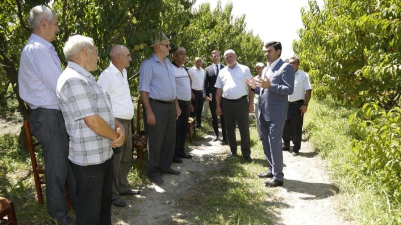 İcra başçısı Elnur Rzayev Xaçmazın şaftalı bağlarında olub