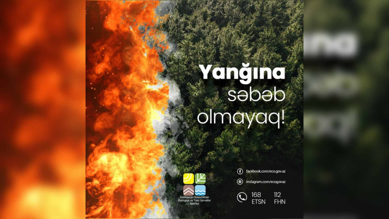 Qubada meşə yanğını başlayıb