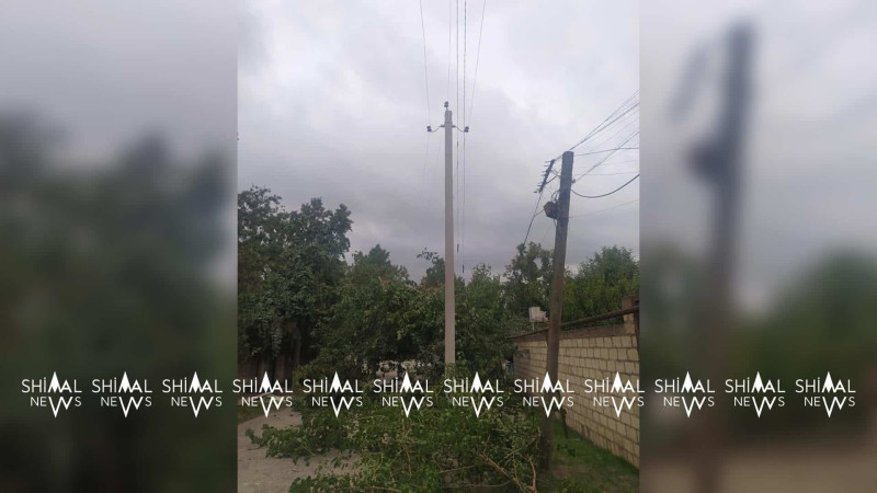 Quba: təhlükə saçan ağac budanıb