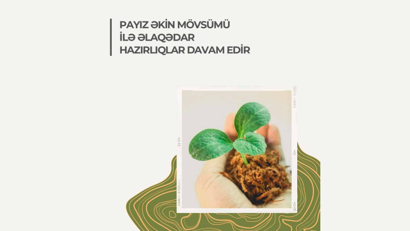 Quba: 35 ha meşə fondu torpaqlarında hazırlıqlar aparılıb