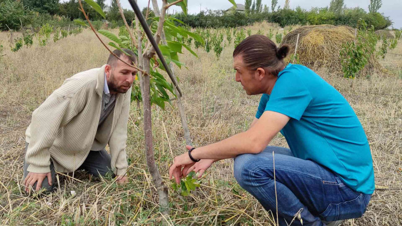Xaçmaz KOBİM: 23 sahibkarın təsərrüfatlarına baxış keçirilib