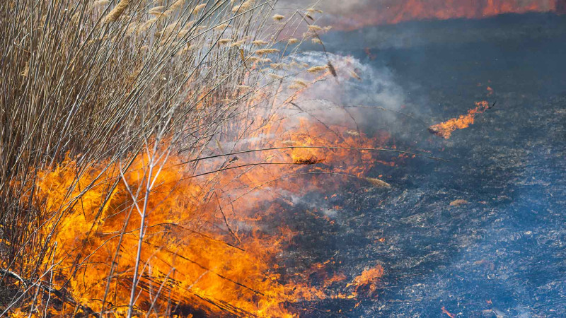 İsmayıllı: Qalagah kəndində yanğın olub