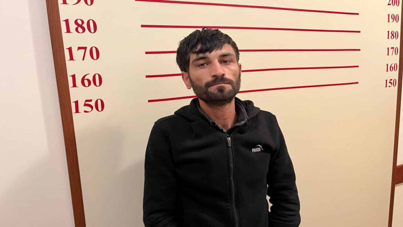 Quba: evin həyətyanı sahəsinə 13 ədəd çətənə bitkisi aşkarlanıb