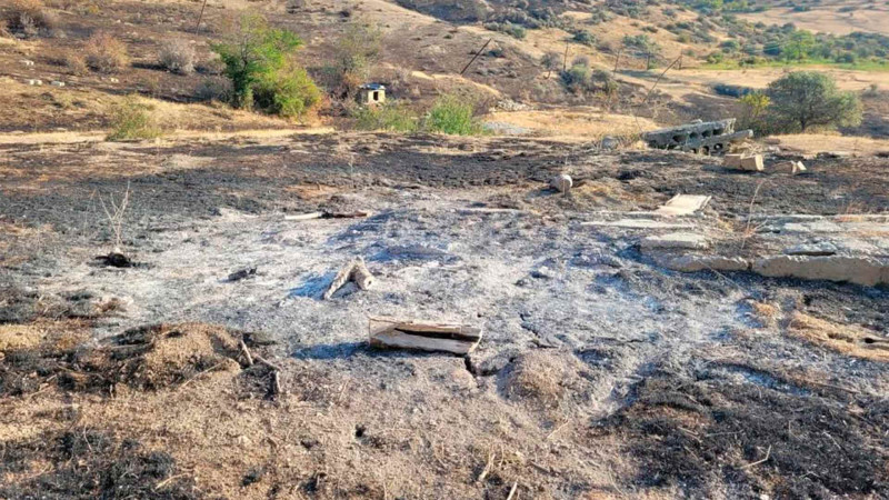 Altıağac Milli Parkında baş vermiş yanğın araşdırılır