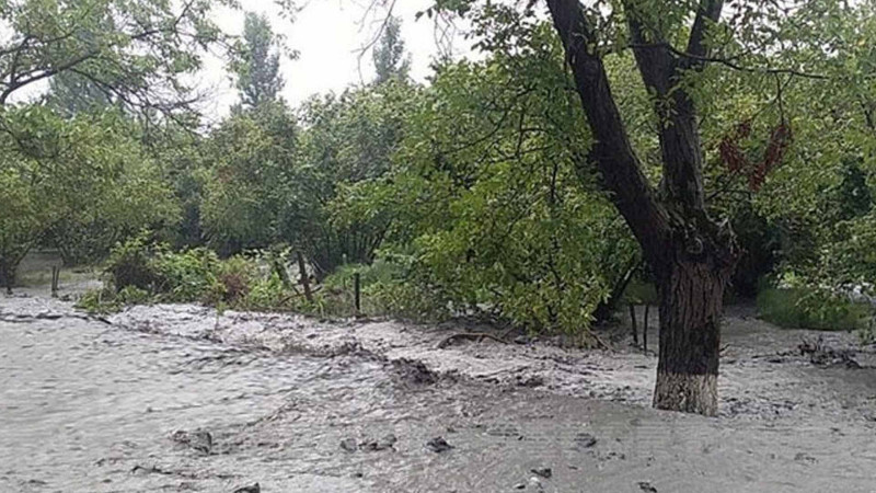 İsmayıllı: daşma təhlükəsi olan dağ çaylarının hövzələrində işlər aparılır