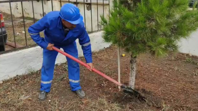 Xaçmazda Neftçilər günü ilə əlaqədar abadlıq işləri aparılıb