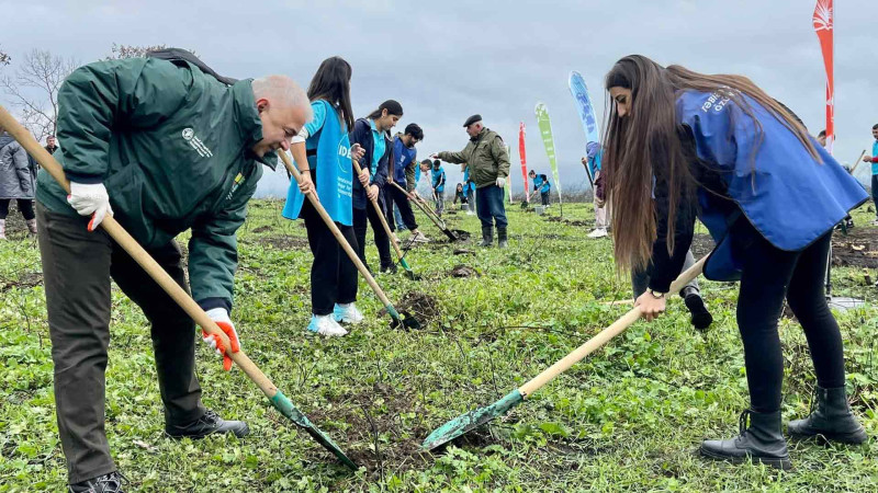 ETSN: Qubada 350 kiloqram ağac toxumu səpilib