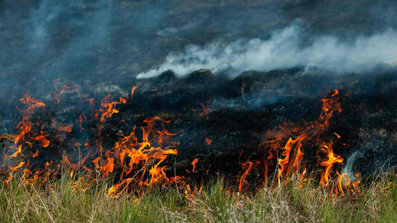İsmayıllı: Əhən kəndində yanğın baş verib