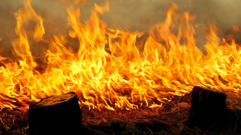 FHN: İsmayıllıda yanğın hadisəsi qeydə alınıb