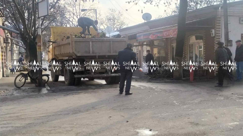 Qubanın mərkəzində aqrotexniki işlər aparılır
