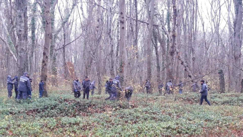 Samur-Yalama Milli Parkında zərərvericilərə qarşı tədbir görülüb