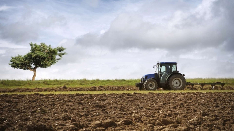 İsmayıllıda payızlıq taxıl səpini başa çatıb