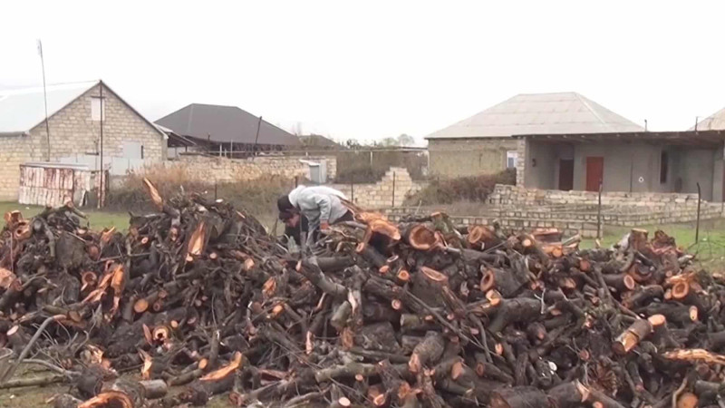 Xaçmaz: 61-ci kvartalda 500 nəfər qazsız çətinlik çəkir