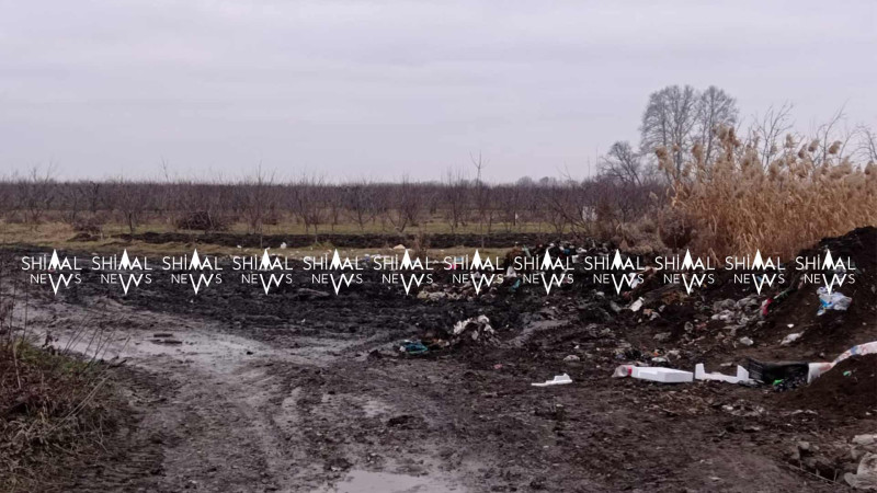 Xaçmazda sakinləri narahat edən zibillik təmizlənib