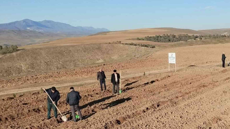 ETSN: Qubanın meşəlik ərazilərində torpaq hazırlıq işləri həyata keçirilir