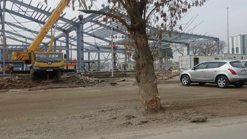 Xaçmaz: ölkənin ən böyük aqroparkı tikilir