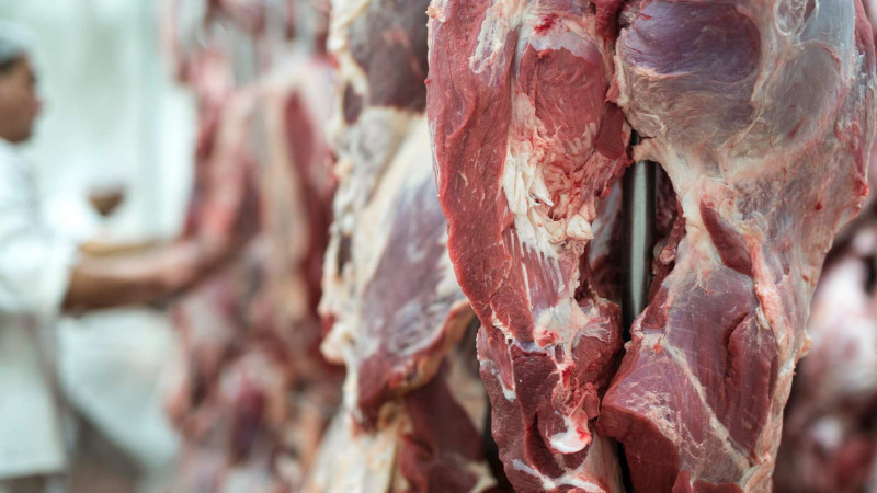 İsmayıllı: heyvan kəsimi məntəqəsində nöqsanlar aşkar edilib